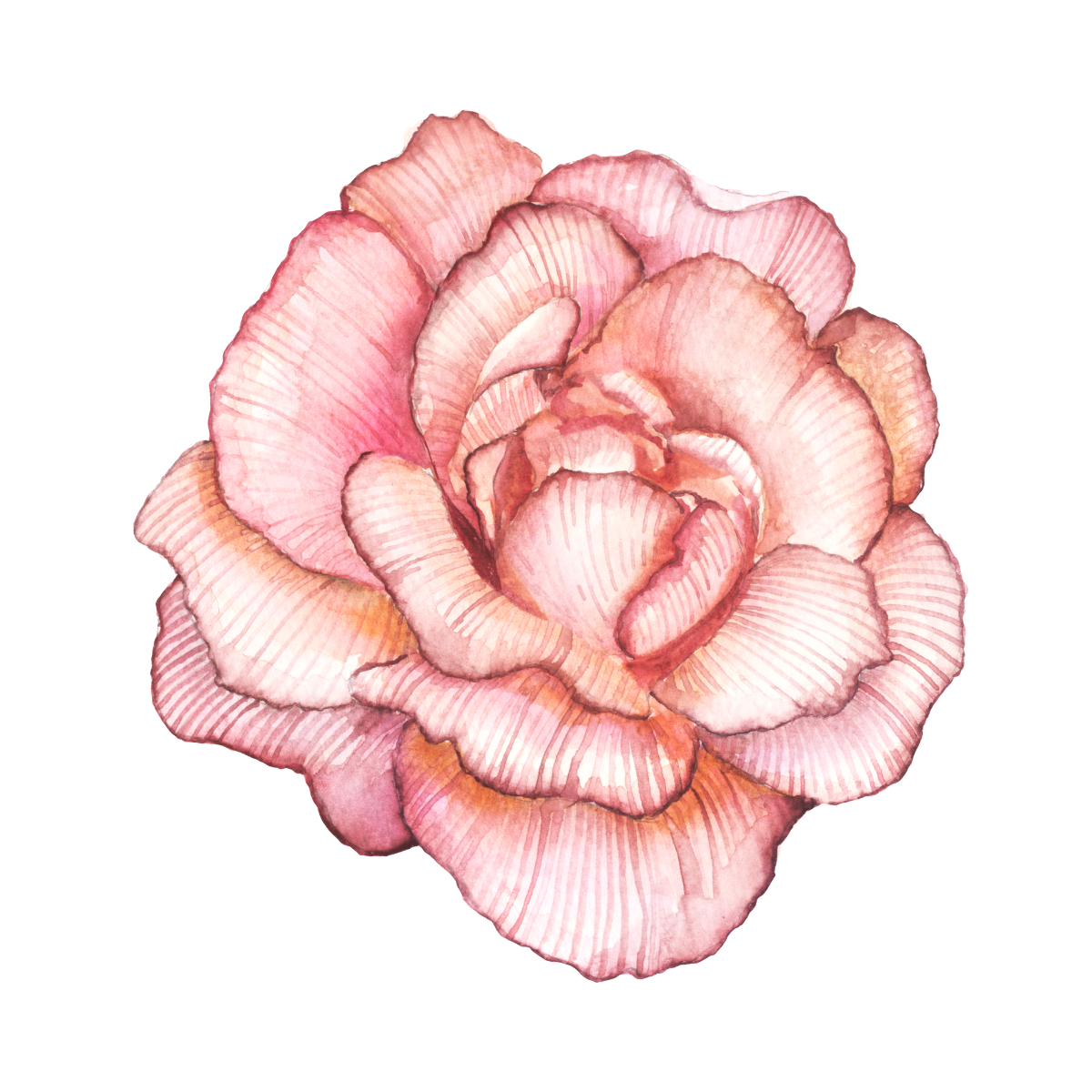 A garden for the bees